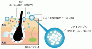 約1400万個の気泡の概念図